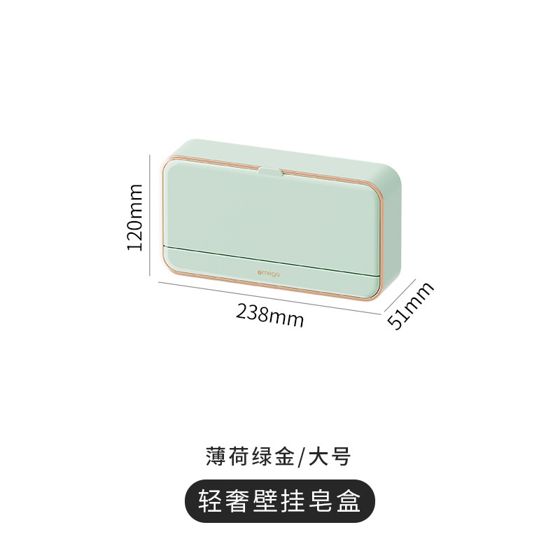 Mint Green Double Compartment Soap Dish