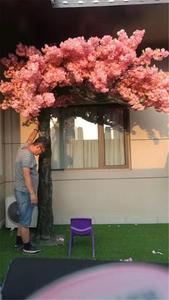 Arbre artificiel en fleurs de cerisier en soie <span class=keywords><strong>LED</strong></span> lumineux G-896 8 pieds 6 pieds 5 pieds pour décoration de mariage intérieure et extérieure - Product Image 6