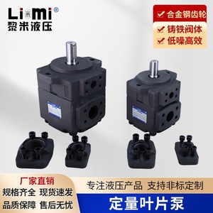 ปั๊มไฮดรอลิกใบพัด Li Mi รุ่น Pv2r2 ตัวเรือนเหล็กหล่อ แบบลูกสูบคู่ ปริมาตรคงที่ - Product Image 5