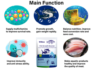 Prémélange vitaminique pur, biologique et stable pour booster la croissance des poissons, additif alimentaire pour la qualité de l'eau des truites et des saumons - Product Image 4