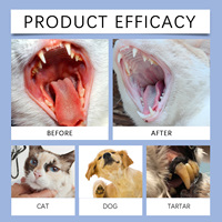 Additif dentaire liquide écologique sans brosse, type décomposable, non parfumé, pour chiens et chats, élimination du tartre, haleine fraîche, 100 ml
