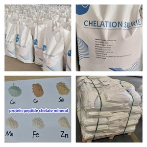 Aditivo Alimentario Quelatado con Oligoelementos para Promover el Crecimiento y Reforzar el Sistema Inmunitario en Aves de Corral - Product Image 5
