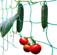 Filet de soutien pour plantes 100% HDPE - Treillis pour concombres, haricots, melons amer, melons de soie et melons suspendus