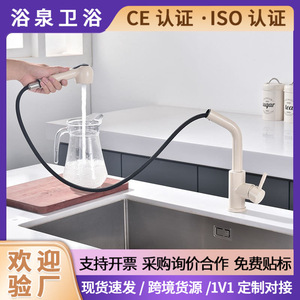 Stainless Steel Oatmeal Kitchen Pull Out Faucet Single Handle Ceramic Valve Deck Mounted Modern Style YQ3057F - Product Image 5