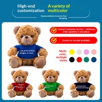 Ours en peluche personnalisé sur le thème de la remise des diplômes, en velours, sur commande pour les événements d'entreprise et scolaires ; logo et texte peuvent être ajoutés