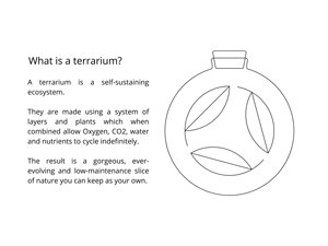 A Mini Orb Terrarium Kit That Suitable <strong>Beginners</strong> Mossarium and Have Glass and <strong>Plants</strong> - Product Image 6
