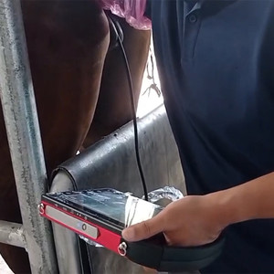 Ultrasonido veterinario Doppler color con sonda lineal certificada CE e ISO para diagnósticos precisos - Product Image 6