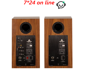 ลำโพงแอคทีฟ BZ-02 AURUM CANTUS <span class=keywords><strong>A6M</strong></span> พร้อมทวีตเตอร์แบบนิวเมติก ครอสโอเวอร์อิเล็กทรอนิกส์ ระบบไบแอมป์ ไฮไฟ เสียงคุณภาพสูง - Product Image 1