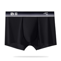 Caleçons Boxers Homme Antibactériens 7A à Ions d'Argent Dégradé, Respirants, Séchage Rapide, Haute Élasticité, Tendance, en Nylon et Coton, ODM