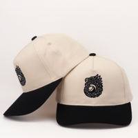 Gorras de Béisbol con Visera Curva de Dos Tonos, Bordado de Animales de Dibujos Animados, Logotipo Personalizado, Algodón Twill, Venta al Por Mayor del Fabricante