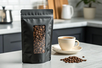 Sacs d'emballage pour grains de café 250g, qualité alimentaire, à valve unidirectionnelle, imprimés en héliogravure, avec fermeture éclair, résistants à l'humidité et anti-fuite – Offre Spéciale