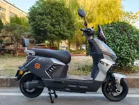 Scooter électrique pour adultes Star Shark II 800W, fourni directement par l'usine, avec batterie 60V/72V 30Ah