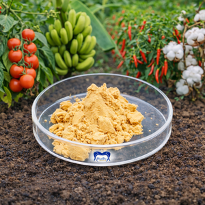 Oligosaccharide de chitosane hydrosoluble pour tomates, bananes, piments et coton pour renforcer l'immunité des plantes et protéger les racines - Product Image 1