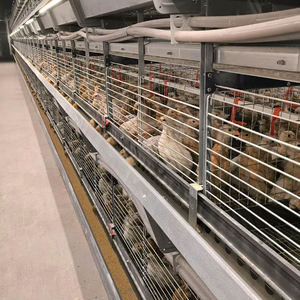 Nuevo Sistema <span class=keywords><strong>de</strong></span> Bebederos Tipo H para Aves <span class=keywords><strong>de</strong></span> Corral con Bebedero <span class=keywords><strong>de</strong></span> Tetina, Alimentación y Agua Automáticas, Acero Inoxidable y Plástico PP - Product Image 6