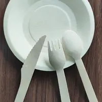 Disposable Wooden Cutlery Set, Biodegradable