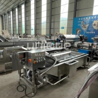 Zibo Unieke Groente-, Vlees- en Fruitwasmachine