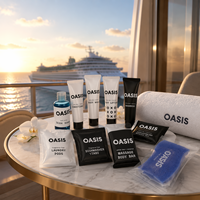 Kit d'articles de toilette jetables en tube souple, écologique, de qualité supérieure pour hôtels de luxe et clients Airbnb