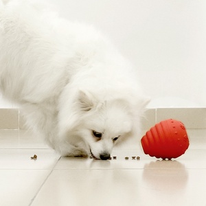 Giocattolo da masticare resistente ai morsi e antistress per cani di grossa taglia e cuccioli, per l'uso transfrontaliero - Product Image 3