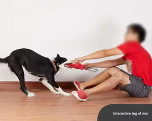 Hot-Selling Training Hond Kauwstok Speelgoed Waterdichte Duurzame Oxford Doek & Rookloze Houtsnippers Bijtkracht - Product Image 2