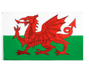 Vente en gros de haute qualité 3x5ft double couture polyester grand dragon gallois <span class=keywords><strong>drapeau</strong></span> de pays de galles drapeaux - Product Image 6