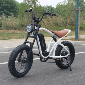 Ebike 48v 20英寸500瓦电动自行车韩国脂肪轮胎pedelec山地车复古Bici ebike折叠epac