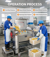 Duurzame industriële elektrische sinaasappel- en aardappel schilmachines, automatische borstelwasmachines voor fruit en groenten