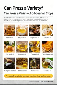 After-sales Guarantee Coconut <b>Oil</b> <b>Press</b> Commercial Medium, Hydraulic High Yield Equipment - Product Image 2