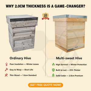 Nuevo Equipo Nacional Británico para Apicultura, Juego de Colmenas de Madera de Abeto, Sin Ensamblar - Product Image 5