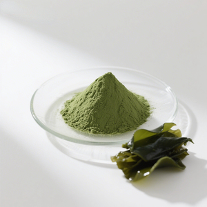 Supply Pure Food Grade 99% Fresh Dehydrated <strong>Kelp</strong> <strong>Powder</strong> <strong>Kelp</strong> Extract <strong>Powder</strong> - Product Image 4