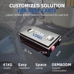 맞춤형 대용량 리튬 인산철 골프 카트용 배터리 팩, 효율적이고 내구성 좋은 LiFePO4 골프 카트 배터리 - Product Image 2