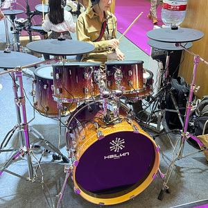 WD-12MAX hailun Trống điện chất lượng cao nhạc cụ gõ nhà máy bán hàng trực tiếp nhà máy trực tiếp giá rẻ - Product Image 5