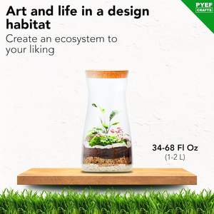Kit Terrario Fai-da-Te PYEF CRAFTS per Creare un Ecosistema Autonomo, Include Succulente <span class=keywords><strong>in</strong></span> Barattolo di Vetro da 68 oz, Prodotto negli USA - Product Image 3
