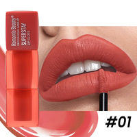 Rouge à lèvres en tube carré, fini mat, facile à appliquer, longue tenue, hydratant, anti-transfert, best-seller, maquillage des lèvres, teinte velours