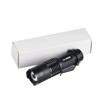 Mini lampe torche UV personnalisée avec logo, lumière noire LED UV 395nm, zoom en aluminium, lampe torche UV pour la détection des scorpions et des faux billets