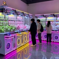 Machine à griffes commerciale de grande taille avec logo personnalisé et éclairage LED pour centre commercial et salle de jeux
