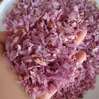 Approvisionnement d'usine 100% thé amincissant en poudre Sakura organique naturel avec échantillon gratuit et service OEM