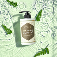 Shampooing Capillaire Avancé ELRA 500ML Soin des Racines Contrôle du Sébum Anti-Chute Formule Faible pH Vitamine C Flacon Pompe pour Cheveux