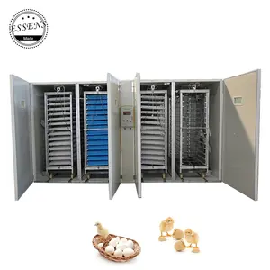 Broiler hatching eggs machine heavy duty incubators hatching eggs for chicken