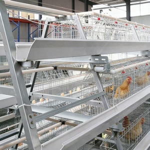 Endonezya'da yumurta üretimi için yüksek kaliteli tavuk çiftliği ekipmanları otomatik besleme sistemi a tipi pil katmanlı tavuk kafesleri - Product Image 5