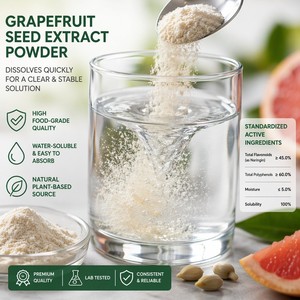 <span class=keywords><strong>Extrait</strong></span> de Citrus Paradisi, poudre de pépins de <span class=keywords><strong>pamplemousse</strong></span>, rapport 10:1 20:1, pour conservateur naturel et santé gastro-intestinale - Product Image 2