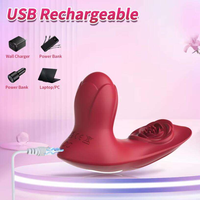 Vibrateur Rose Télécommandé Portable pour Point G et Clitoris, Stimulateur à Insérer dans les Culottes avec Fonction de Poussée, Jouet Sexuel Adulte pour Femmes