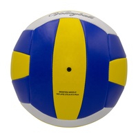 Ballon de beach-volley européen taille 5, imperméable, cousu à la machine, toucher doux, entraînement adulte