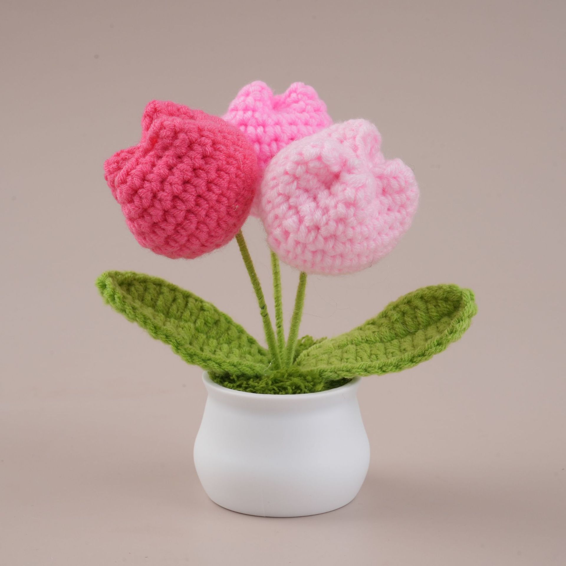 Gradient pink three-headed small white bottle potted plant