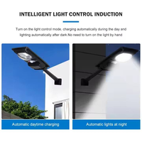 Farola Solar de 100W, Impermeable, con Control Óptico, para Exteriores, para Carreteras, Lámpara Solar para Exteriores