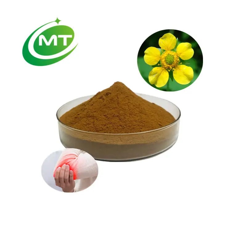 Geum japonicum Thunberg campione gratuito di alta qualità ISO 100% puro naturale organico Geum Japonicum estratto in polvere 10:1 Bulk Custom
