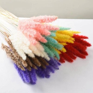 ZS003 vente en gros, Bouquet naturel en queue de lapin, herbe, lagus Ovatus, fleurs séchées pour décoration de mariage - Product Image 4