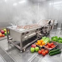 Huchuan Hoge Kwaliteit Ecologische Fruit & Groente Belletjesreinigingsmachine Sla Pompoen Verwerkingslijn 500kg/u Capaciteit
