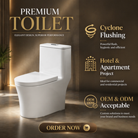 WC moderne en céramique à chasse d'eau cyclonique, cuvette en porcelaine, à poser au sol, avec siphon, toilettes monobloc pour salle de bain