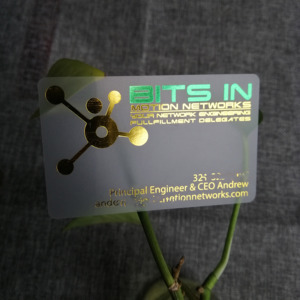 นามบัตร PVC ใสใสสำหรับเข้าชมพร้อมการพิมพ์ออฟเซตและการปั๊มผิวร้อน - Product Image 2