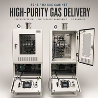 Armoire à gaz CO automatique de qualité laboratoire, collecteur de gaz hermétique à double chambre pour laboratoire de R&D